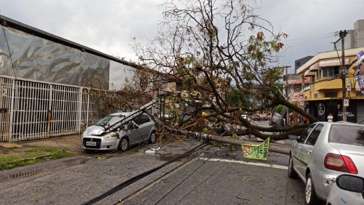 Chuva Causa Alagamento Derruba Postes E Deixa Pessoa Ilhada Em Betim