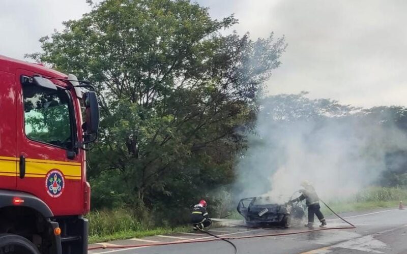 Mãe morre e filha fica ferida após carro pegar fogo em acidente na BR