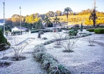 Monte Verde no distrito de Camanducaia - Foto: Divulgação/Willliam Siqueira