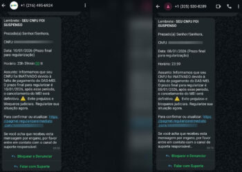 CNPJ suspenso? MEIs são alvo de golpe por mensagens no WhatsApp - Foto: Reprodução