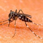 Terceira morte por dengue é confirmada, Minas Gerais - Foto: Divulgação