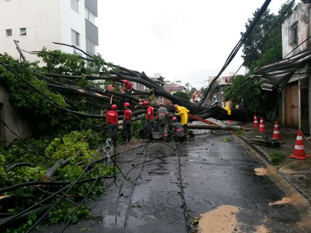 Chuvas causa diversos danos e estragos em Belo Horizonte e Região Metropolitana Árvore em Sabará