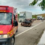 br 381 em periquito