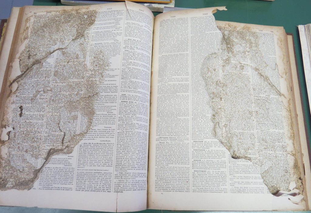 Exposição e capacitação difundem técnicas de conservação de livros exposicao e capacitacao difundem tecnicas de conservacao de livros