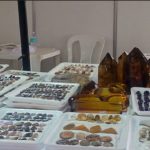 28 11 2019 PF COMBATE USURPAÇÃO DE PATRIMÔNIO DA UNIÃO E OUTROS CRIMES 2