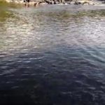 Cachoeira do Denilson