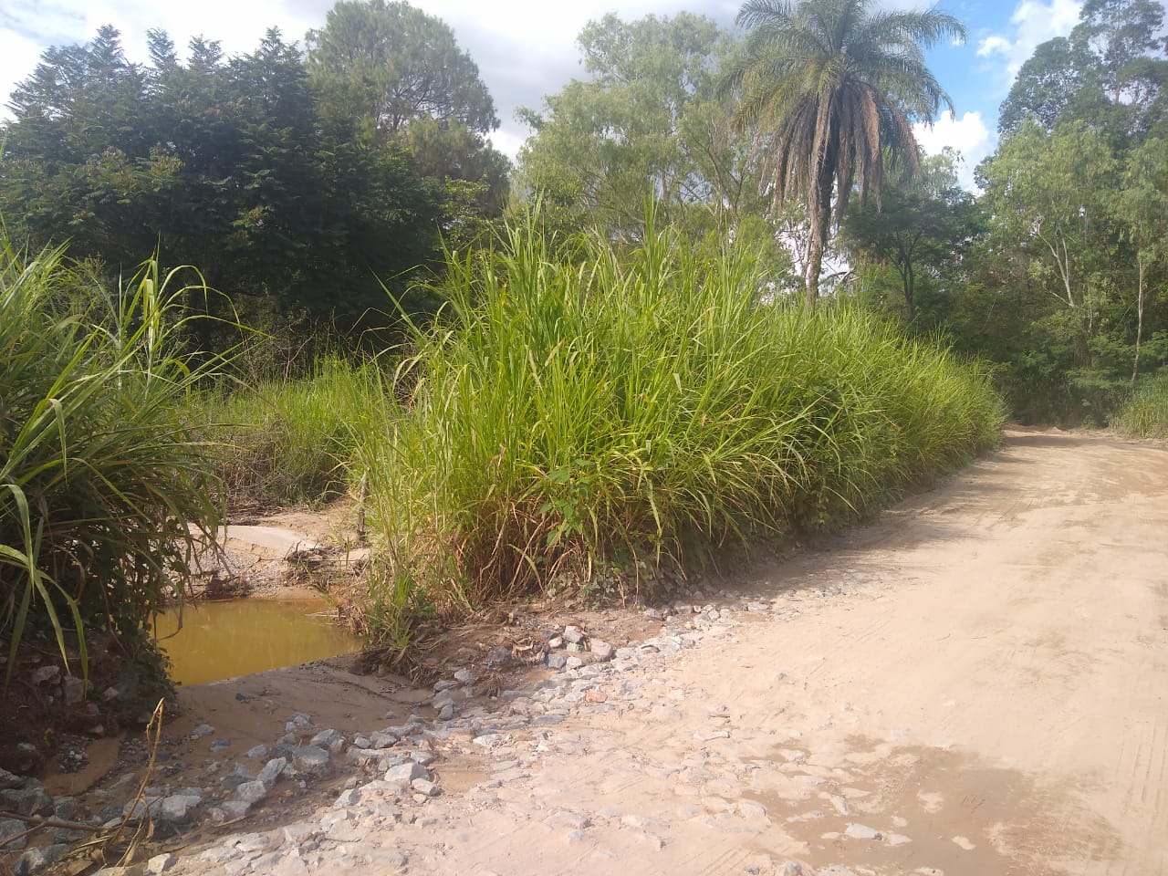 Suspeito de matar ex-namorada em BH é preso pela polícia 1 local do corpo em esmeraldas