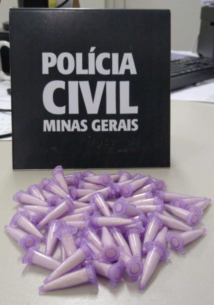 Polícia apreende 60 pinos de cocaína e dinheiro do tráfico em Alfenas - Foto: Divulgação/PCMG