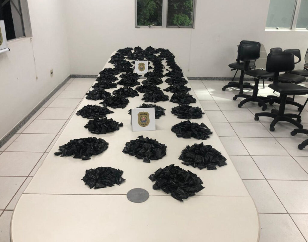 Polícia apreende grande quantidade de drogas em Alfenas - Foto: Divulgação/PCMG