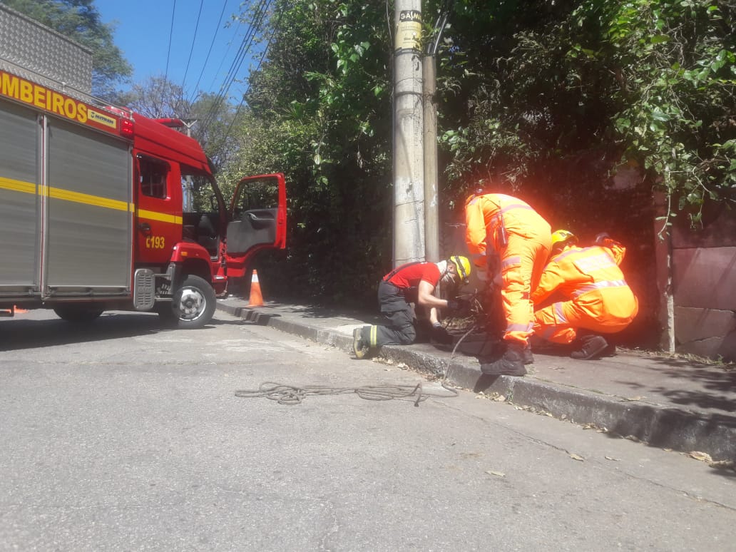 Corpo é encontrado por Bombeiros em caixa de fiação da Cemig em Belo Horizonte - Foto: Divulgação/Corpo de Bombeiros