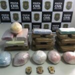 Ação policial resulta na apreensão de pasta-base de cocaína e crack em São Gonçalo do Pará - Foto: Divulgação/PCMG