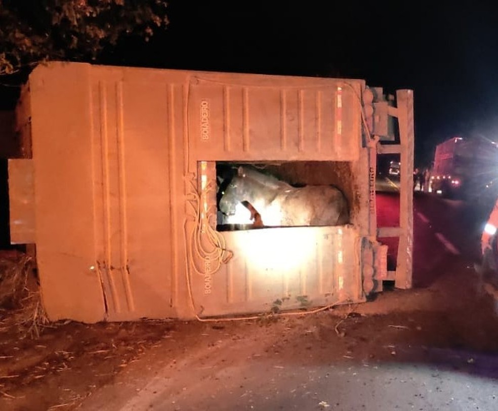 Motorista morre após caminhão capotar em acidente na BR-365 em Patrocínio - Foto: Corpo de Bombeiros/Divulgação