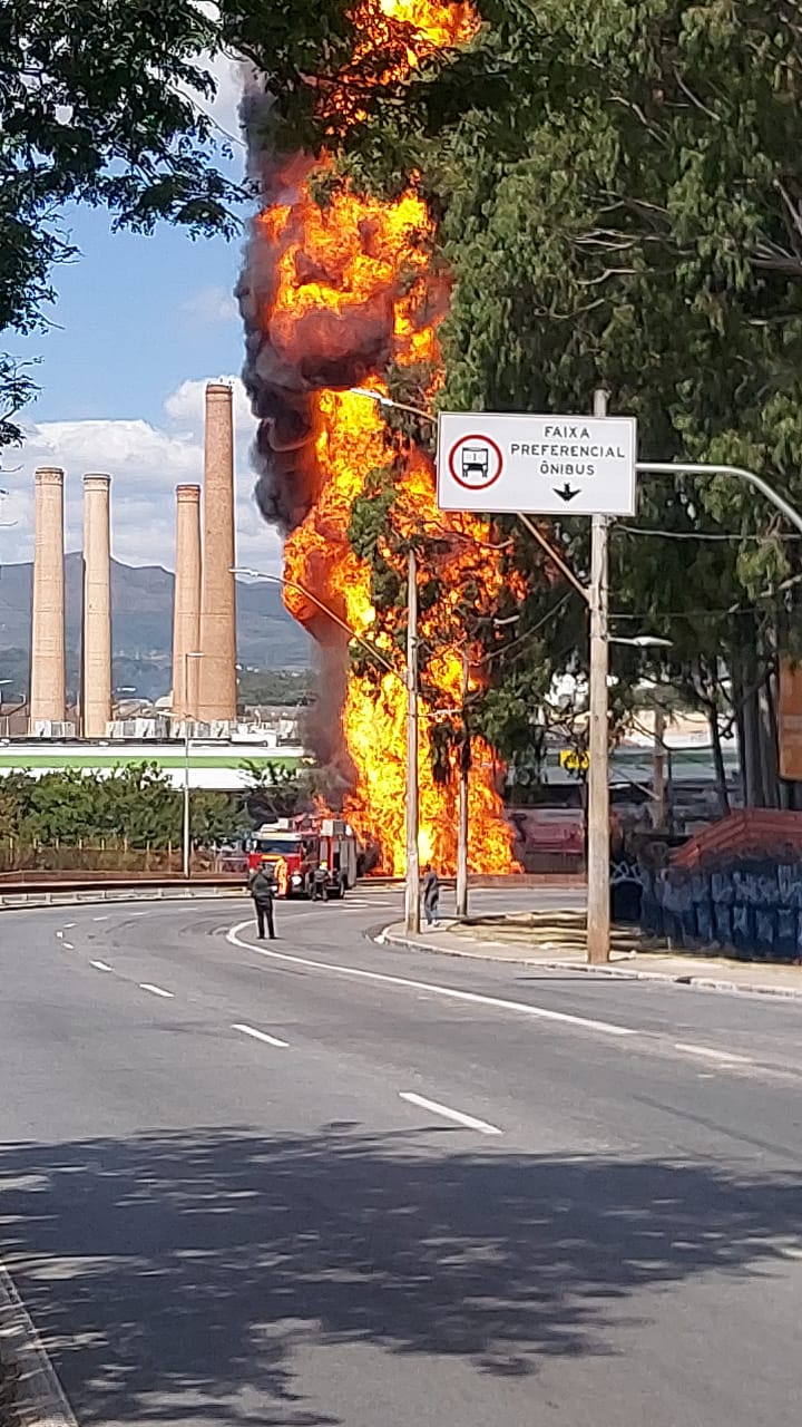 Foto: Guarda Civil de Contagem/Divulgação