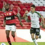Foto: Alexandre Vidal/Flamengo