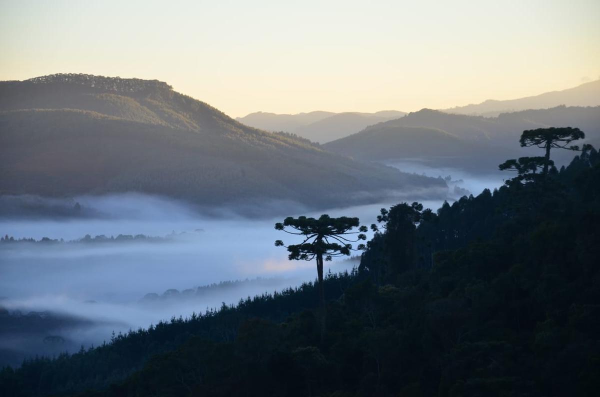 5  cidades para curtir o frio em Minas Gerais