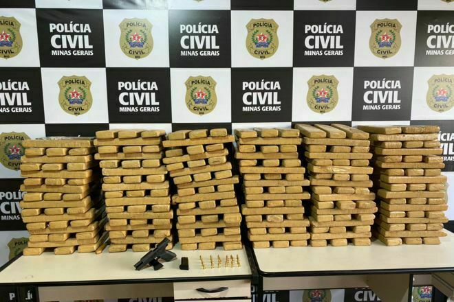 Polícia apreende quase 300 kg de maconha em Juiz de Fora - Foto: Divulgação/PCMG