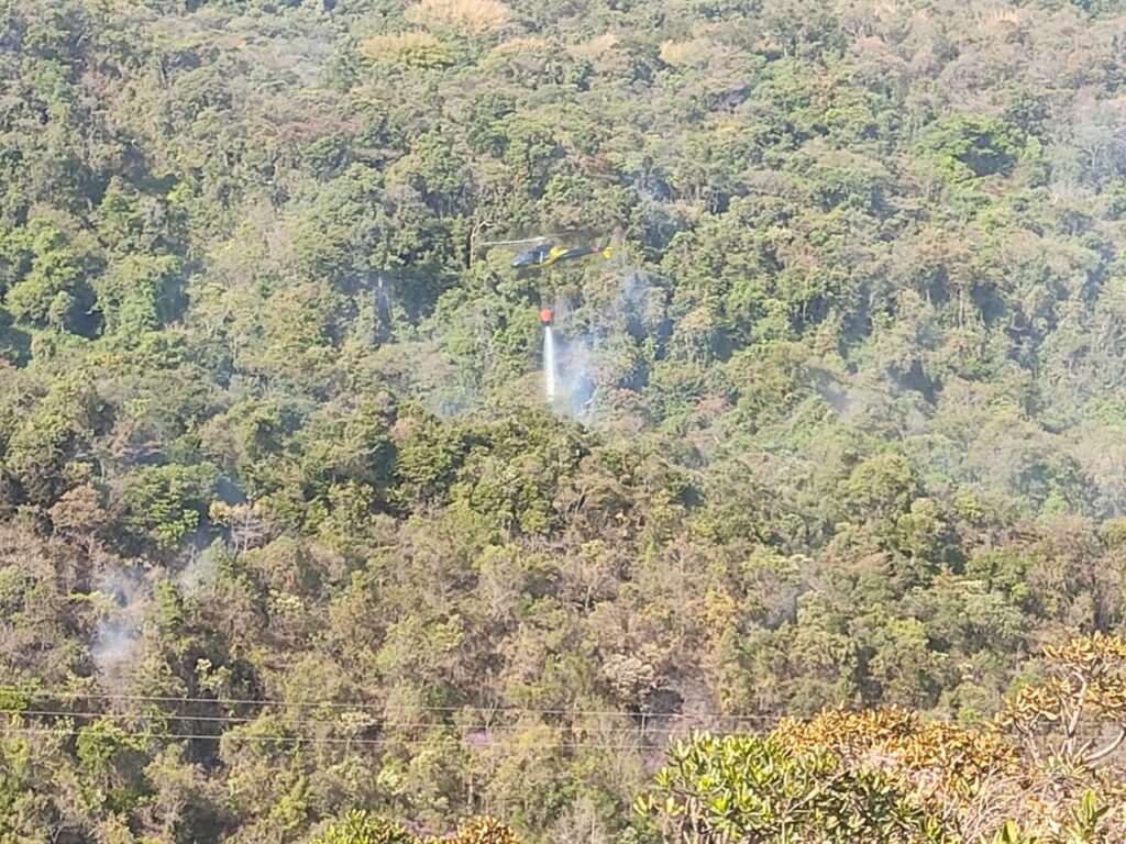 Incêndio atinge vegetação do Parque das Mangabeiras, em BH - Foto: Divulgação/Corpo de Bombeiros
