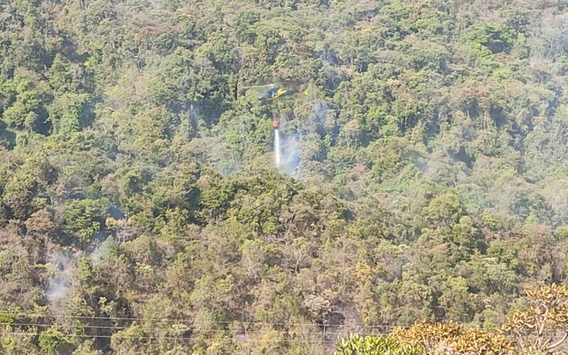 Incêndio atinge vegetação do Parque das Mangabeiras, em BH - Foto: Divulgação/Corpo de Bombeiros