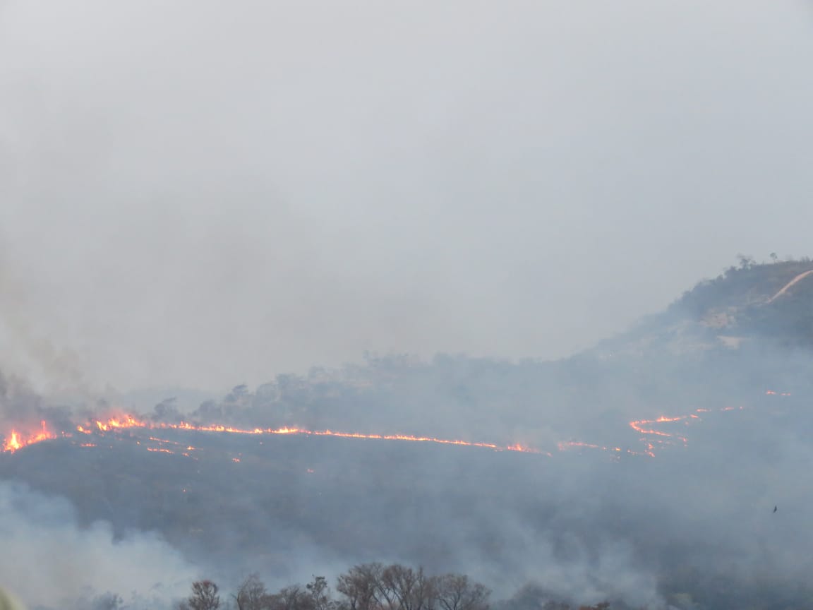 Incêndio atinge área de reflorestamento no bairro Ribeiro de Abreu, em BH - Foto: Elberty Valadares/Por Dentro de Minas