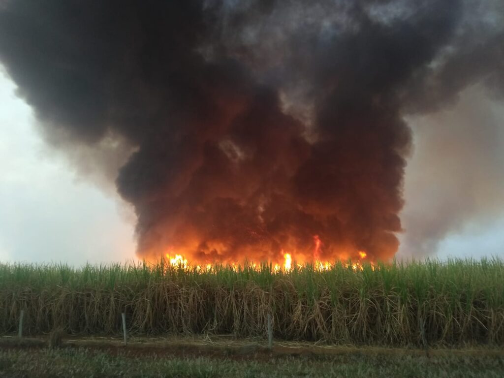 Incêndio destrói 300 hectares de mata preservada em Tupaciguara - Foto: Divulgação/Corpo de Bombeiros