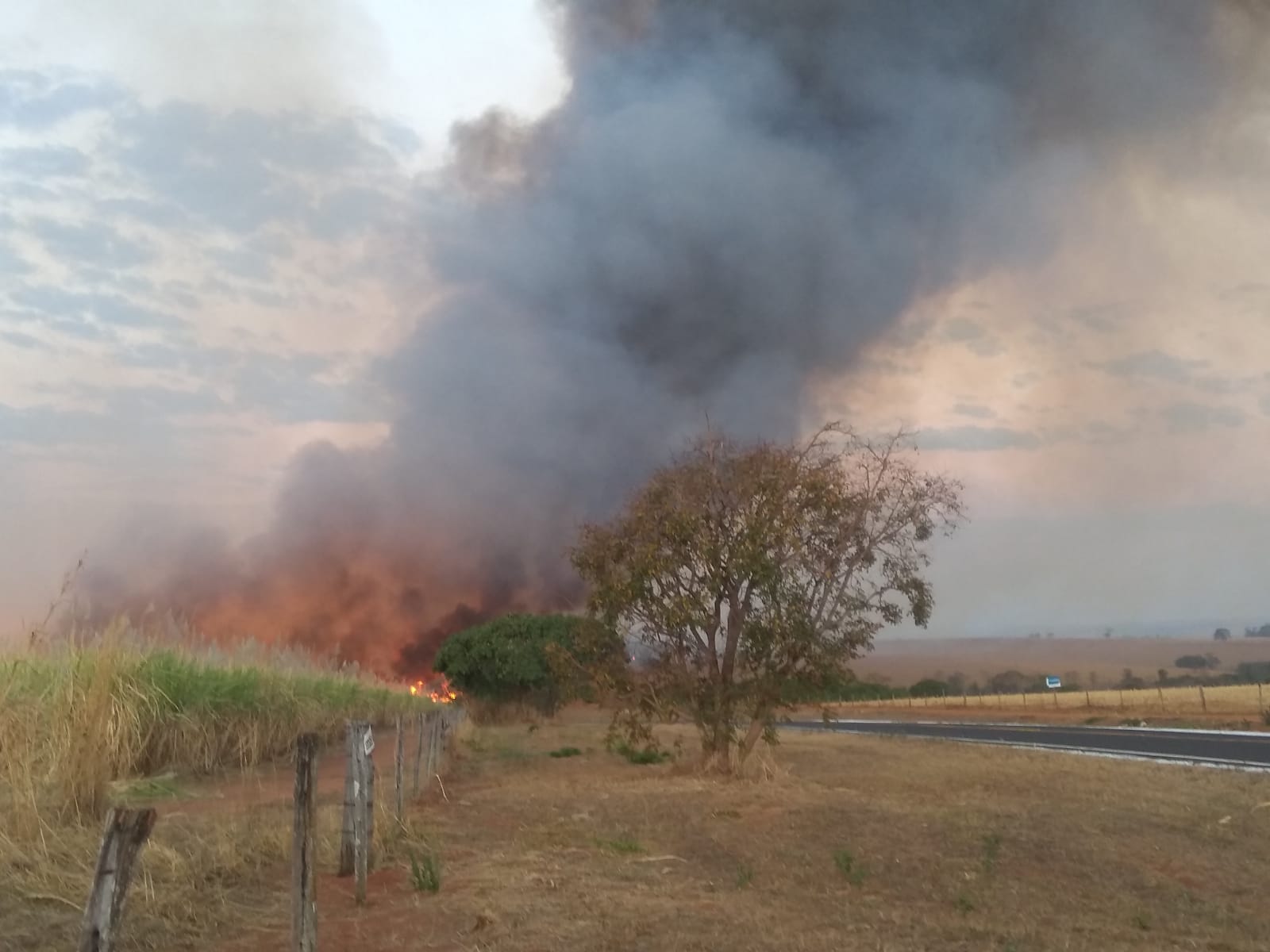 Incêndio destrói 300 hectares de mata preservada em Tupaciguara - Foto: Divulgação/Corpo de Bombeiros