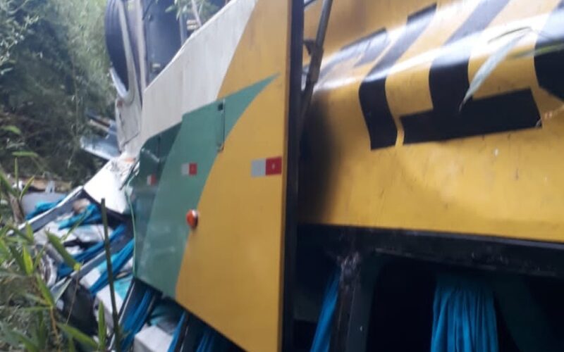 Oito pessoas morrem após ônibus com 52 passageiros capota na BR-116, em Leopoldina - Foto: Reprodução/Redes Sociais