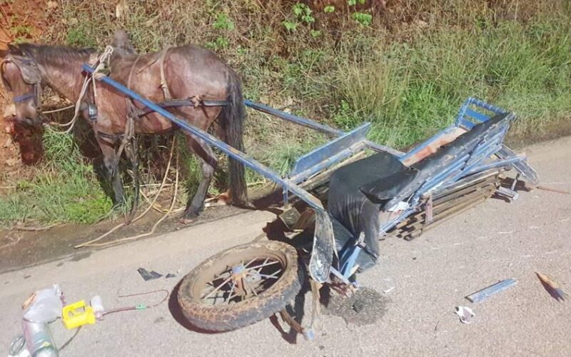 Criança de 10 anos morre após acidente entre moto e charrete, em Piranguinho - Foto: Divulgação/CBMMG