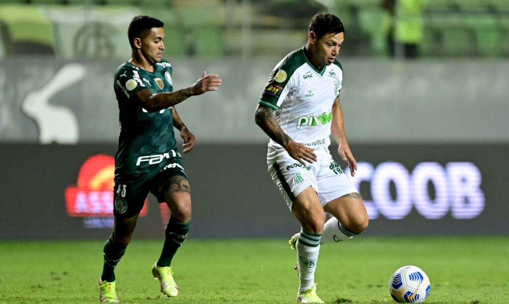 Palmeiras perde para América-MG e cai para terceiro no Brasileiro - Foto: Mourão Panda/América