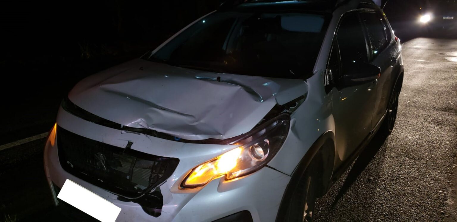 Ciclista morre atropelado ao atravessar a BR-262, em Nova Serrana - Foto: Divulgação/CBMMG