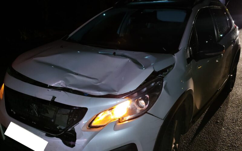 Ciclista morre atropelado ao atravessar a BR-262, em Nova Serrana - Foto: Divulgação/CBMMG