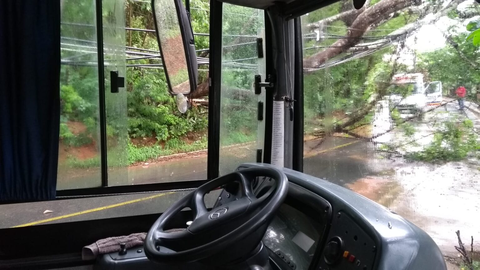 Dez pessoas ficam presas dentro de ônibus após árvore derruba fios sobre veículo, em Lagoa Santa - Foto: Divulgação/CBMMG