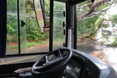 Dez pessoas ficam presas dentro de ônibus após árvore derruba fios sobre veículo, em Lagoa Santa - Foto: Divulgação/CBMMG