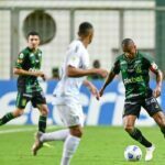 Na luta por vaga na Libertadores, América-MG afunda Grêmio no Z4 - Foto: Mourão Panda/América-MG