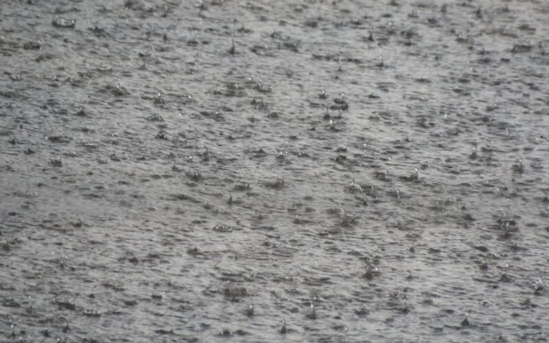 Defesa Civil emite alerta para granizo em Belo Horizonte - Foto: Elberty Valadares/Por Dentro de Minas