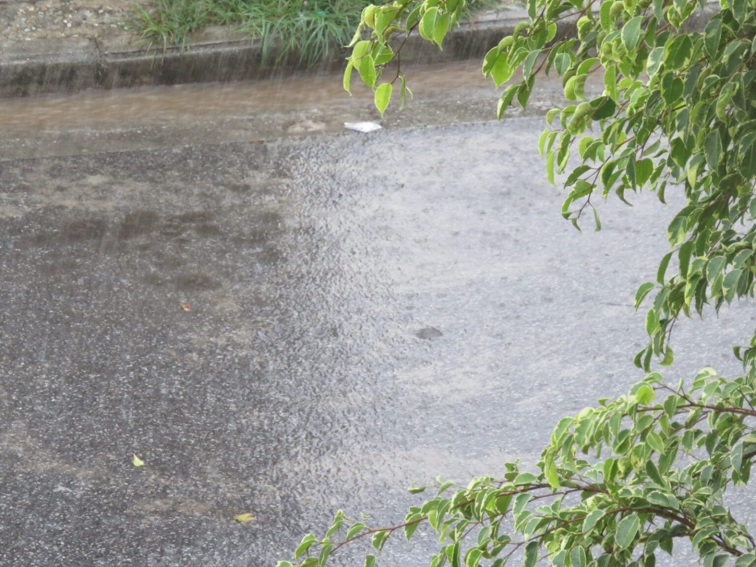 Ciclone extratropical: Minas Gerais tem previsão de tempestades em 358 cidades - Foto: Elberty Valadares/Por Dentro de Minas