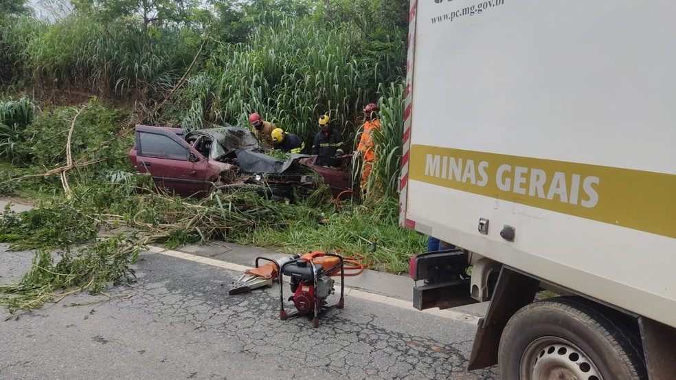 Motorista morre e duas mulheres ficam feridas após carro bater contra cavalo na BR-259, em Governador Valadares - Foto: Reprodução/Redes Sociais