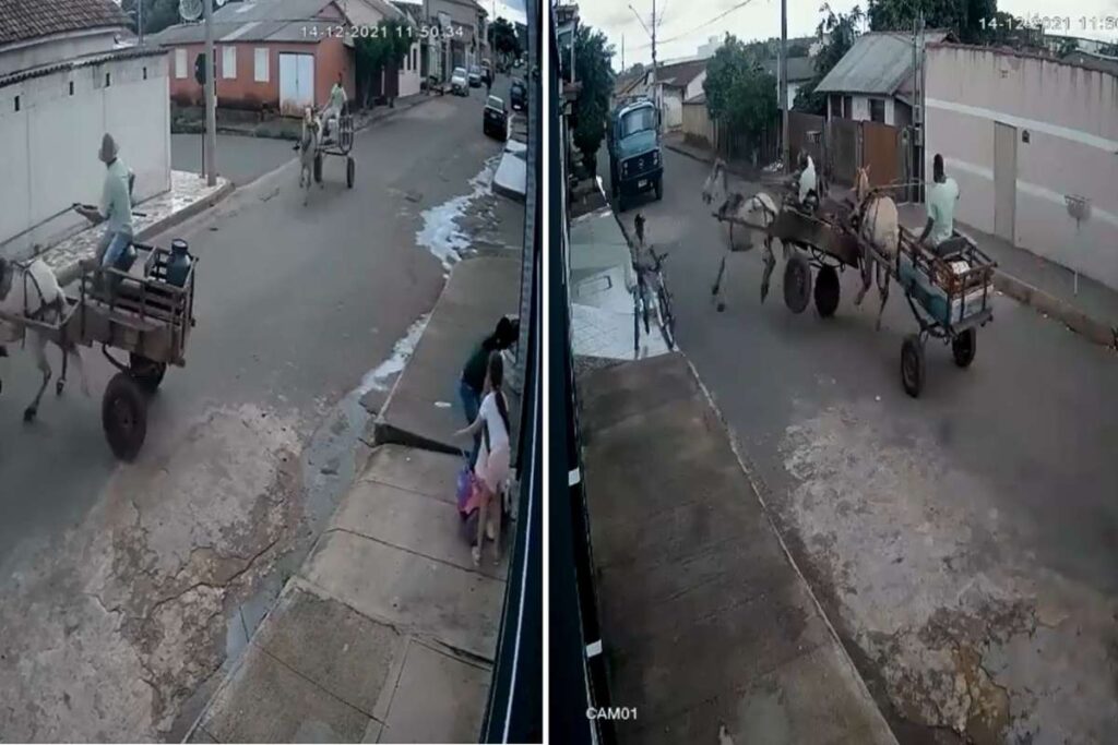 Duas carroças batem e idoso fica ferido em Carmo do Paranaíba - Foto: Reprodução