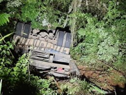 Motorista morre após caminhão cair em ribanceira na BR-267, em Campestre - Foto: Divulgação/Corpo de Bombeiros