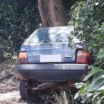 Greve acidente deixa três vítimas fatais na BR-265, entre Ilicínea e Boa Esperança - Foto: Reprodução/Redes Sociais