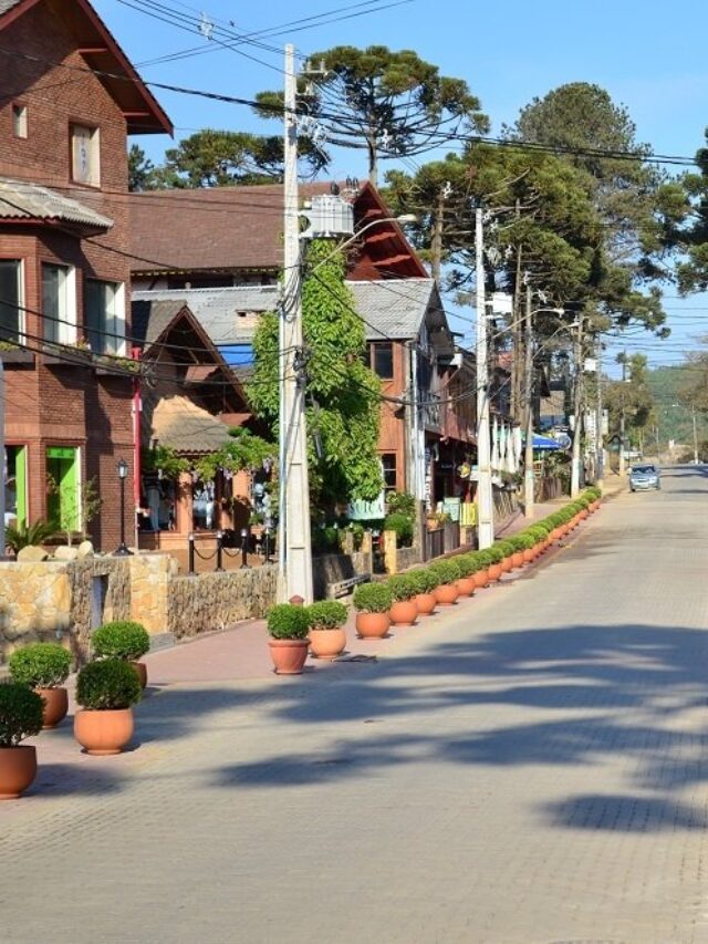 cropped-monteverde.jpg