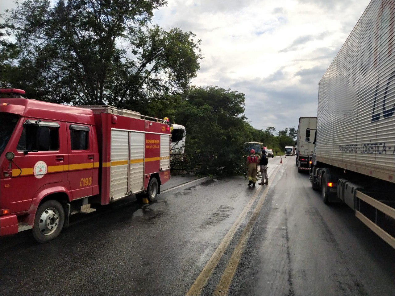 Ônibus com 40 passageiros sai da pista e bate em árvore na BR-251, em Francisco Sá - Foto: Divulgação/Corpo de Bombeiros