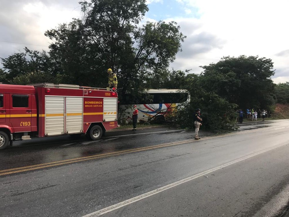 Ônibus com 40 passageiros sai da pista e bate em árvore na BR-251, em Francisco Sá - Foto: Divulgação/Corpo de Bombeiros