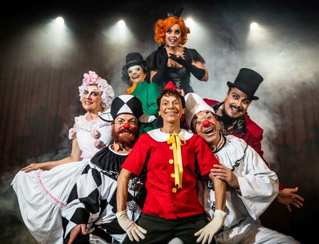 Espetáculo PinóQuio - Cia PeQuod Teatro de Animação - Foto: Divulgação