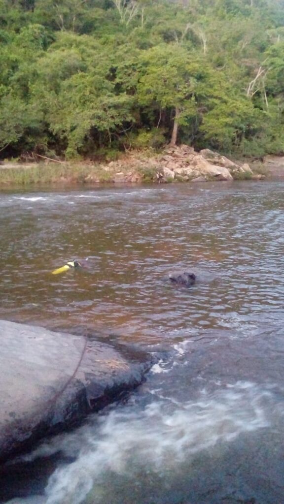 Jovem itabirana morre afogada no Rio Santo Antônio em São Sebastião do Rio Preto - Foto: Divulgação/CBMMG