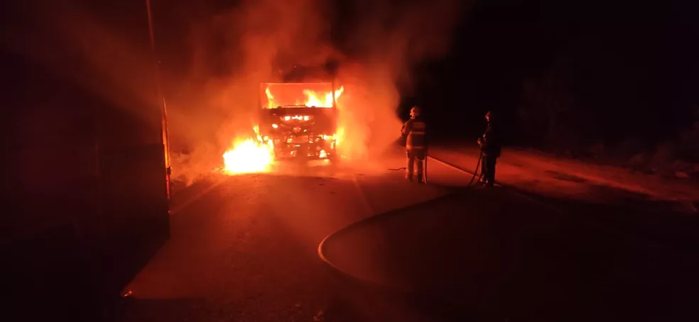 Mais de 120 porcos morrem queimados após caminhão pega fogo na BR-265 em São João del Rei - Foto: Divulgação/Corpo de Bombeiros