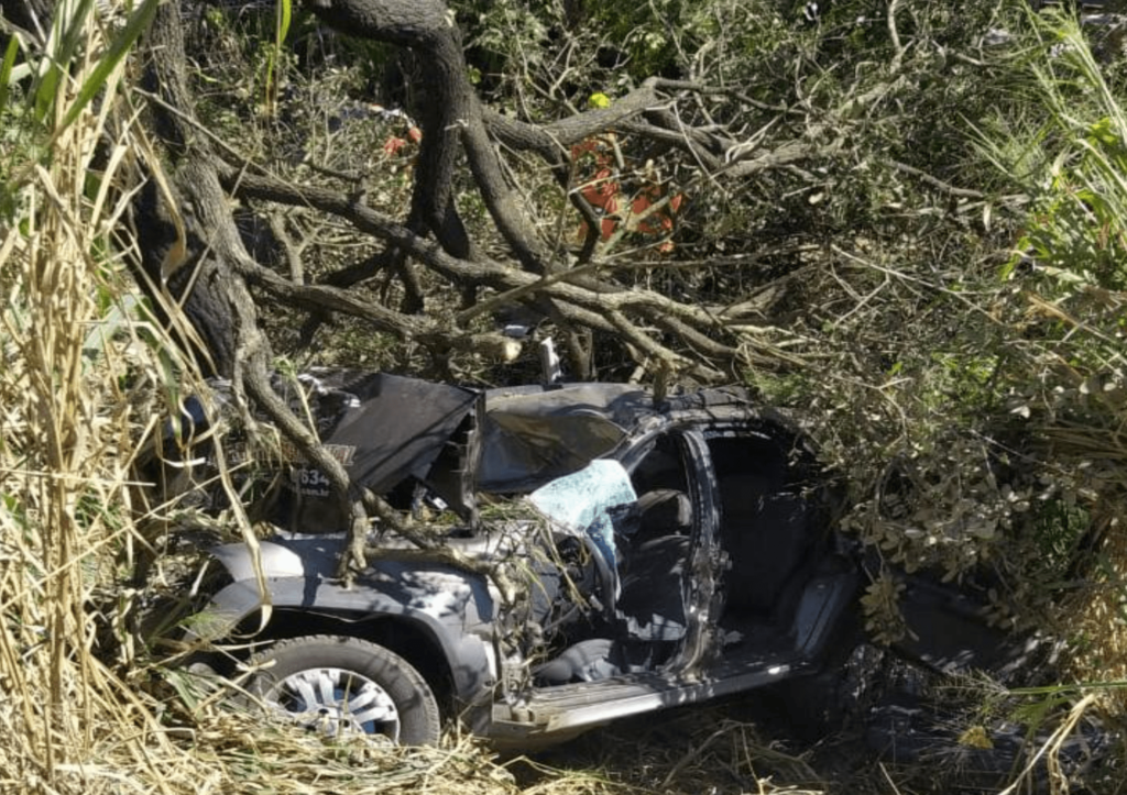 Sogra de motorista morre após carro sair da pista e bater em árvore na BR-262, em Nova Serrana - Foto: Divulgação/CBMMG