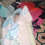 Bebê com quase dois meses é encontrado sozinho dentro de casa abandonada em Andradas - Foto: Jornal Andradas Hoje Regional