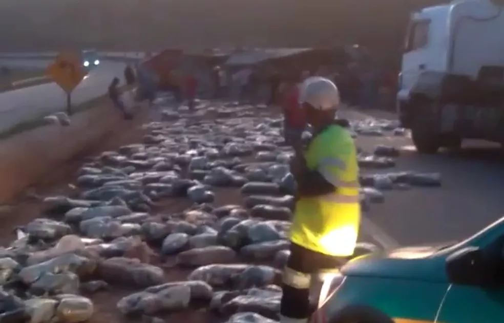 Carreta carregada de arroz tomba e fecha trecho da Rodovia Fernão Dias, em Igarapé - Foto: Reprodução/Redes Sociais