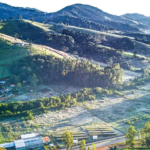 Alerta de geada atinge 58 cidades de Minas Gerais neste fim de semana - Foto: Divulgação/William Siqueira