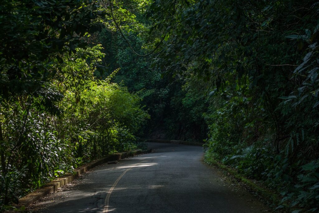 O que fazer no Parque Nacional da Tijuca - Foto: Divulgação/Pixabay